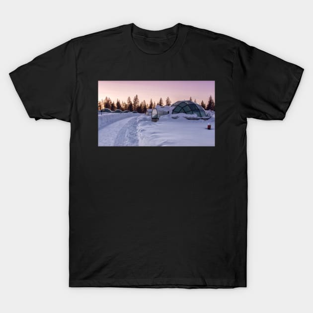 Home Is a Glass Igloo T-Shirt by krepsher